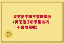 灵芝孢子粉不落地采收(灵芝孢子粉采集技巧：不落地采收)