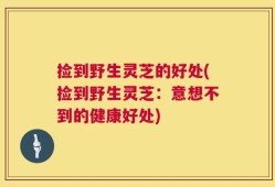 捡到野生灵芝的好处(捡到野生灵芝：意想不到的健康好处)