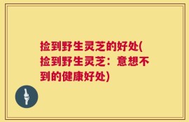 捡到野生灵芝的好处(捡到野生灵芝：意想不到的健康好处)