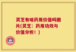 灵芝有啥药用价值吗图片(灵芝：药用功效与价值分析！)