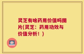 灵芝有啥药用价值吗图片(灵芝：药用功效与价值分析！)