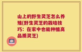 山上的野生灵芝怎么养殖(野生灵芝的栽培技巧：在家中也能种植高品质灵芝)