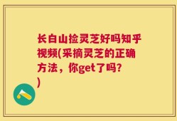 长白山捡灵芝好吗知乎视频(采摘灵芝的正确方法，你get了吗？)