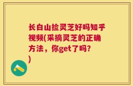 长白山捡灵芝好吗知乎视频(采摘灵芝的正确方法，你get了吗？)