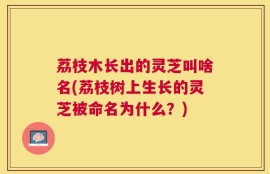 荔枝木长出的灵芝叫啥名(荔枝树上生长的灵芝被命名为什么？)