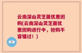 云南深山灵芝菌优惠团购(云南深山灵芝菌优惠团购进行中，抢购不容错过！)