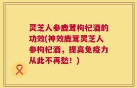 灵芝人参鹿茸枸杞酒的功效(神效鹿茸灵芝人参枸杞酒，提高免疫力从此不再愁！)