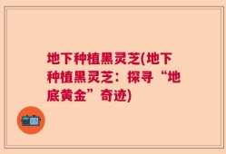 地下种植黑灵芝(地下种植黑灵芝：探寻“地底黄金”奇迹)