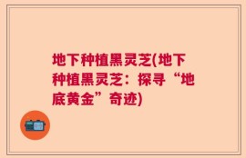 地下种植黑灵芝(地下种植黑灵芝：探寻“地底黄金”奇迹)