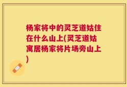 杨家将中的灵芝道姑住在什么山上(灵芝道姑寓居杨家将片场旁山上)