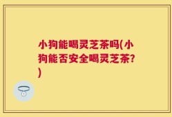小狗能喝灵芝茶吗(小狗能否安全喝灵芝茶？)