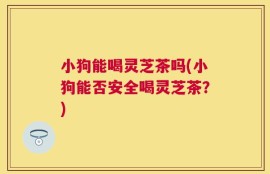 小狗能喝灵芝茶吗(小狗能否安全喝灵芝茶？)