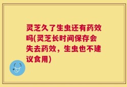 灵芝久了生虫还有药效吗(灵芝长时间保存会失去药效，生虫也不建议食用)