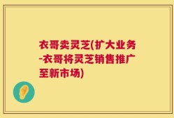 衣哥卖灵芝(扩大业务-衣哥将灵芝销售推广至新市场)
