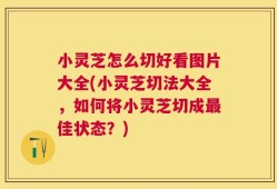 小灵芝怎么切好看图片大全(小灵芝切法大全，如何将小灵芝切成最佳状态？)