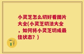 小灵芝怎么切好看图片大全(小灵芝切法大全，如何将小灵芝切成最佳状态？)