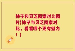 柿子和灵芝图案对比图片(柿子与灵芝图案对比，看看哪个更有魅力！)