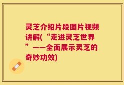 灵芝介绍片段图片视频讲解(“走进灵芝世界”——全面展示灵芝的奇妙功效)