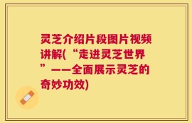灵芝介绍片段图片视频讲解(“走进灵芝世界”——全面展示灵芝的奇妙功效)