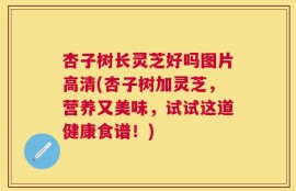 杏子树长灵芝好吗图片高清(杏子树加灵芝，营养又美味，试试这道健康食谱！)