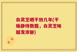 白灵芝晒干放几年(干燥静待数载，白灵芝味越发浓郁)