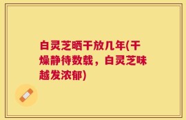白灵芝晒干放几年(干燥静待数载，白灵芝味越发浓郁)