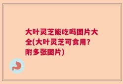 大叶灵芝能吃吗图片大全(大叶灵芝可食用？附多张图片)