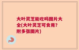 大叶灵芝能吃吗图片大全(大叶灵芝可食用？附多张图片)