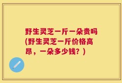 野生灵芝一斤一朵贵吗(野生灵芝一斤价格高昂，一朵多少钱？)
