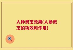 人种灵芝效果(人参灵芝的功效和作用)