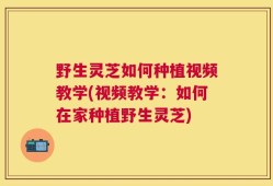 野生灵芝如何种植视频教学(视频教学：如何在家种植野生灵芝)