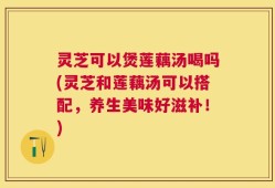 灵芝可以煲莲藕汤喝吗(灵芝和莲藕汤可以搭配，养生美味好滋补！)