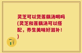 灵芝可以煲莲藕汤喝吗(灵芝和莲藕汤可以搭配，养生美味好滋补！)