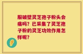 服破壁灵芝孢子粉头会痛吗？已采集了灵芝孢子粉的灵芝功效作用怎样呢？