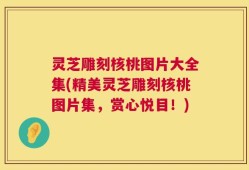 灵芝雕刻核桃图片大全集(精美灵芝雕刻核桃图片集，赏心悦目！)