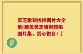灵芝雕刻核桃图片大全集(精美灵芝雕刻核桃图片集，赏心悦目！)