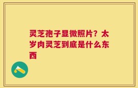 灵芝孢子显微照片？太岁肉灵芝到底是什么东西