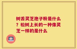 树舌灵芝孢子粉是什么？松树上长的一种像灵芝一样的是什么