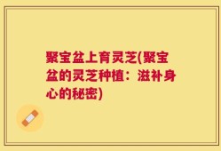 聚宝盆上育灵芝(聚宝盆的灵芝种植：滋补身心的秘密)