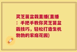 灵芝苗盆栽直播(直播：手把手教你灵芝苗盆栽技巧，轻松打造生机勃勃的家庭花园)
