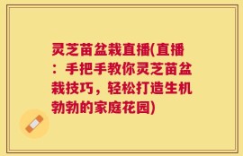 灵芝苗盆栽直播(直播：手把手教你灵芝苗盆栽技巧，轻松打造生机勃勃的家庭花园)