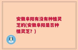 安徽阜阳有没有种植灵芝的(安徽阜阳是否种植灵芝？)