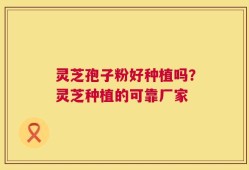 灵芝孢子粉好种植吗？灵芝种植的可靠厂家