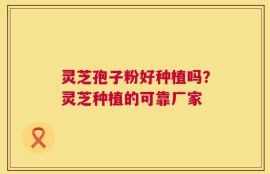 灵芝孢子粉好种植吗？灵芝种植的可靠厂家