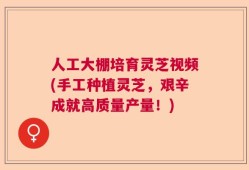 人工大棚培育灵芝视频(手工种植灵芝，艰辛成就高质量产量！)
