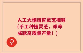 人工大棚培育灵芝视频(手工种植灵芝，艰辛成就高质量产量！)