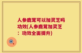 人参鹿茸可以加灵芝吗功效(人参鹿茸加灵芝：功效全面提升)