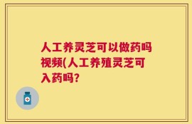 人工养灵芝可以做药吗视频(人工养殖灵芝可入药吗？
