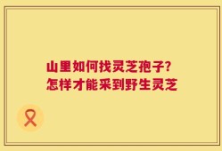 山里如何找灵芝孢子？怎样才能采到野生灵芝