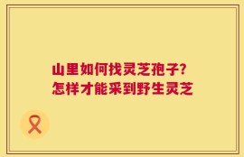 山里如何找灵芝孢子？怎样才能采到野生灵芝